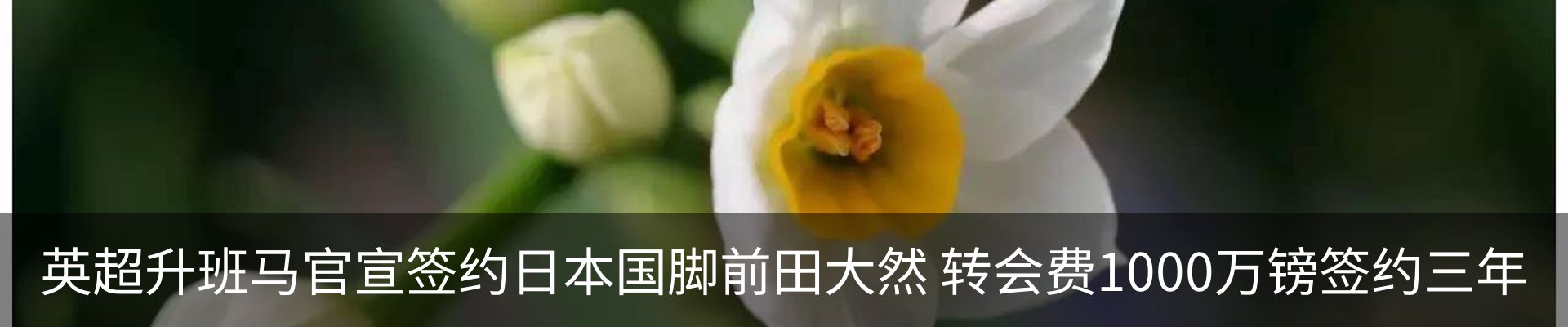 行业资讯