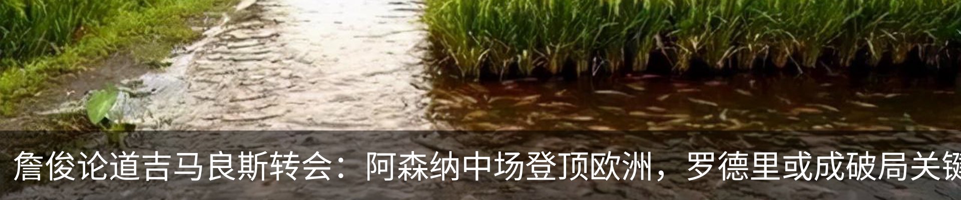 行业资讯