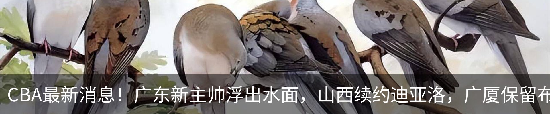 行业资讯